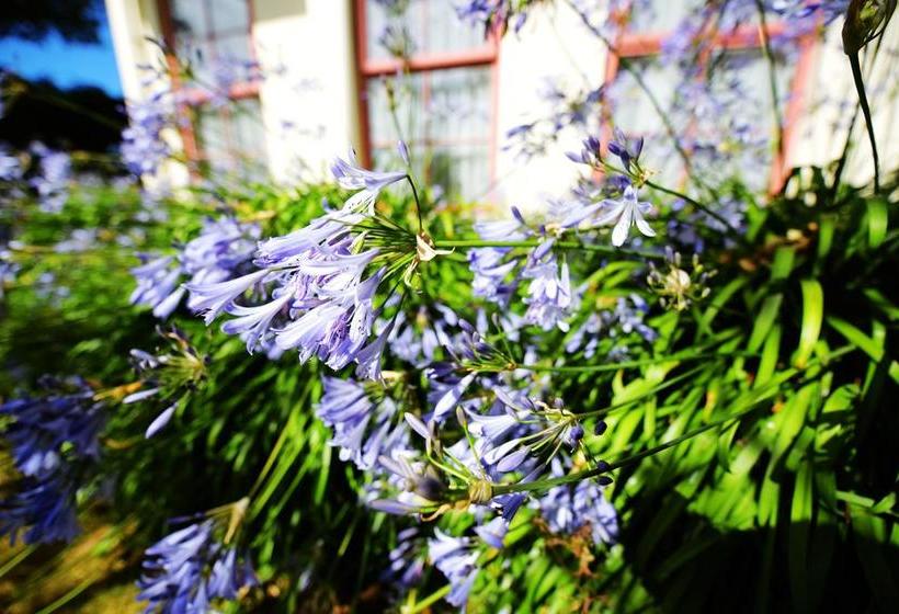 Addington Stadium Motel 4