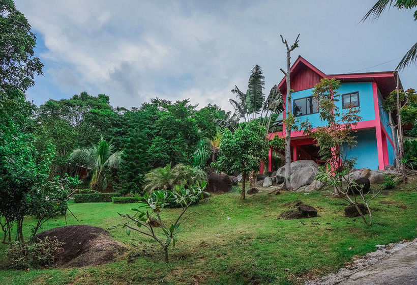 Herberge Amstardam Backpackers 12