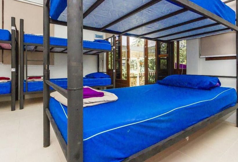 Hostel The Nomad House 2