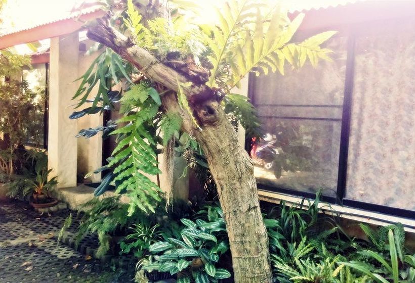 Pension Baan Songjum Homestay 8