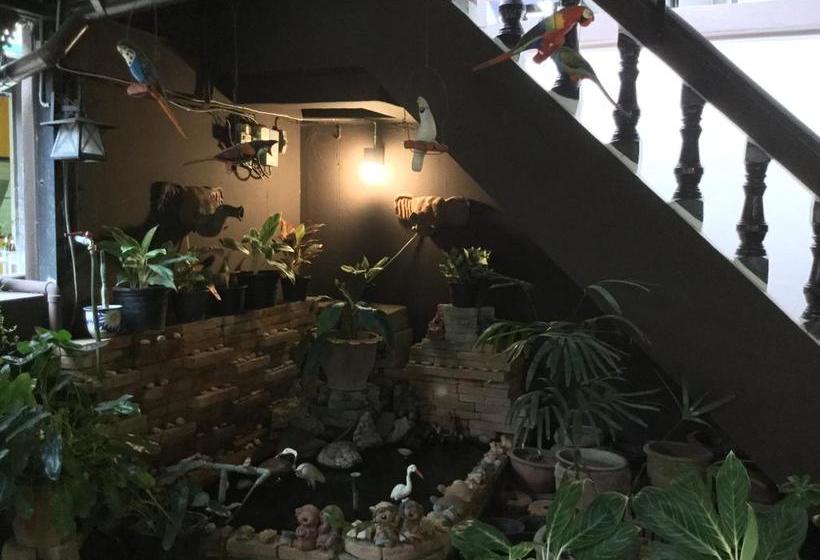 Hotel North Star Guest House 3