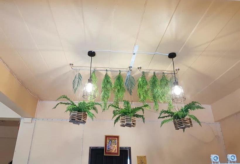 Hostel at Beach Bed & Bar 6