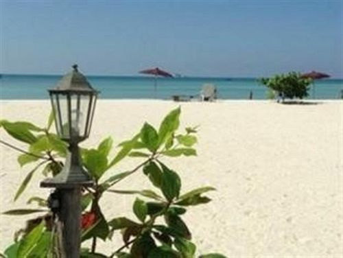 Hotel Seaview Rainbow 11