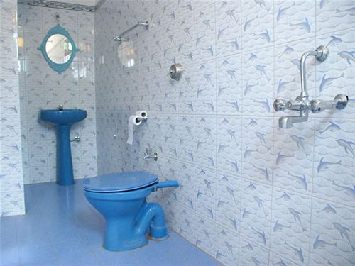 Hotel D'souza's Holiday Homes 4