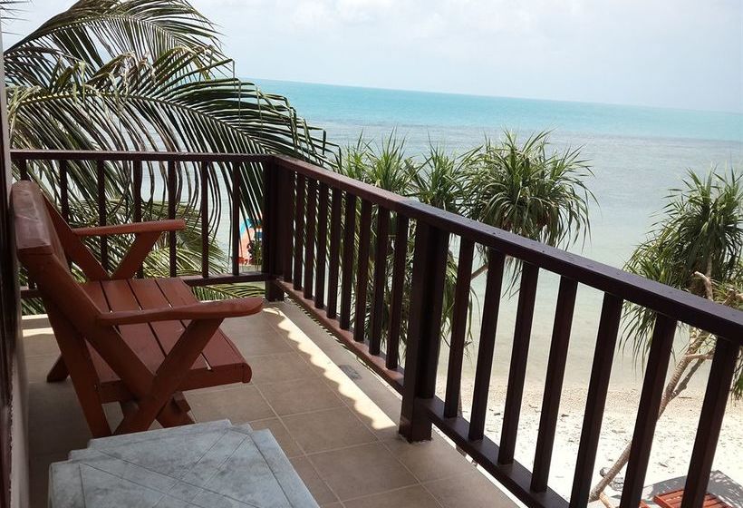 Hotel Mr. Black Resort 10