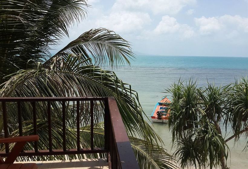 Hotel Mr. Black Resort 7