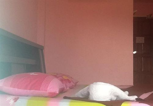 Hotel Peach Guesthouse 2