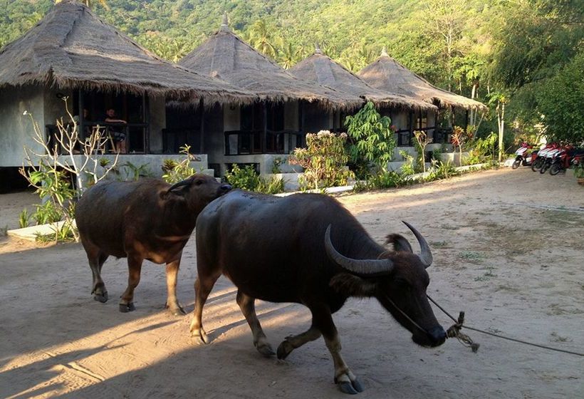 Resort Secret Garden Village 15