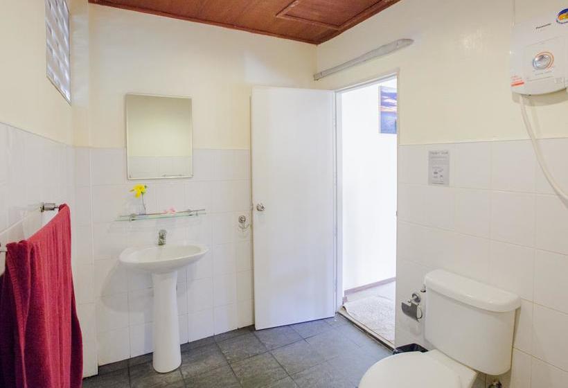 Shiralea Backpackers Resort 4