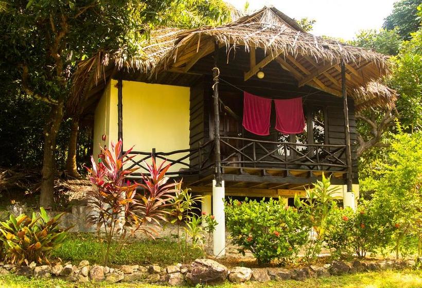 Shiralea Backpackers Resort 5