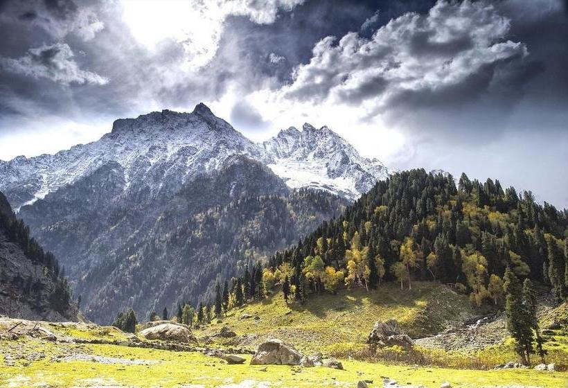 Pension Houseboat Zaindari Palace 18