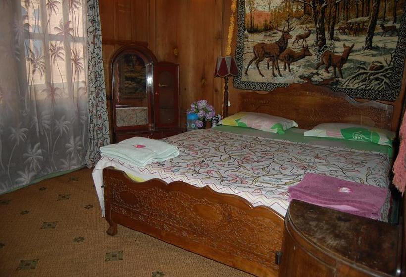 Pension Houseboat Zaindari Palace 7
