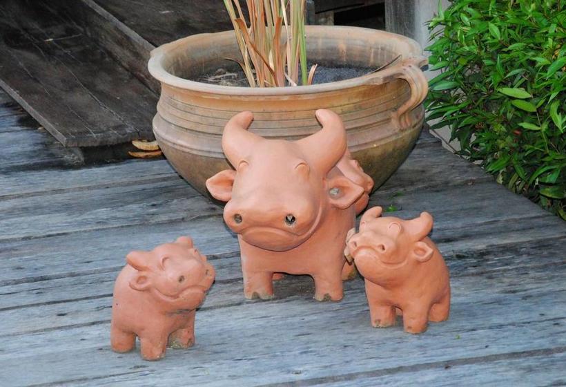 Resort Baan Chai Thung 5