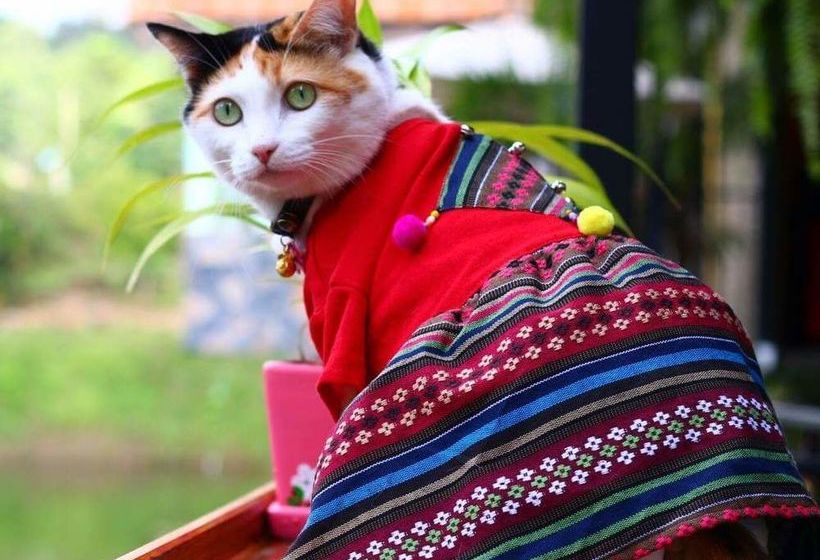 Hotel Baan Suan Him Doi 18