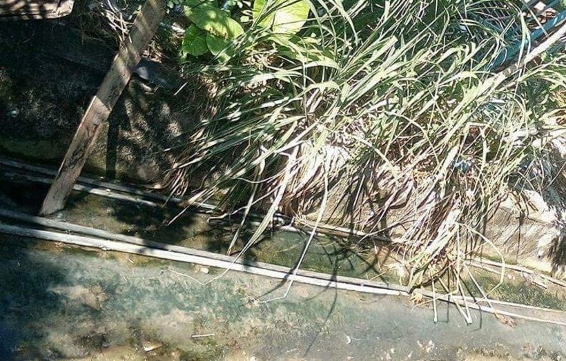 Hotel Phi Phi Dream 15