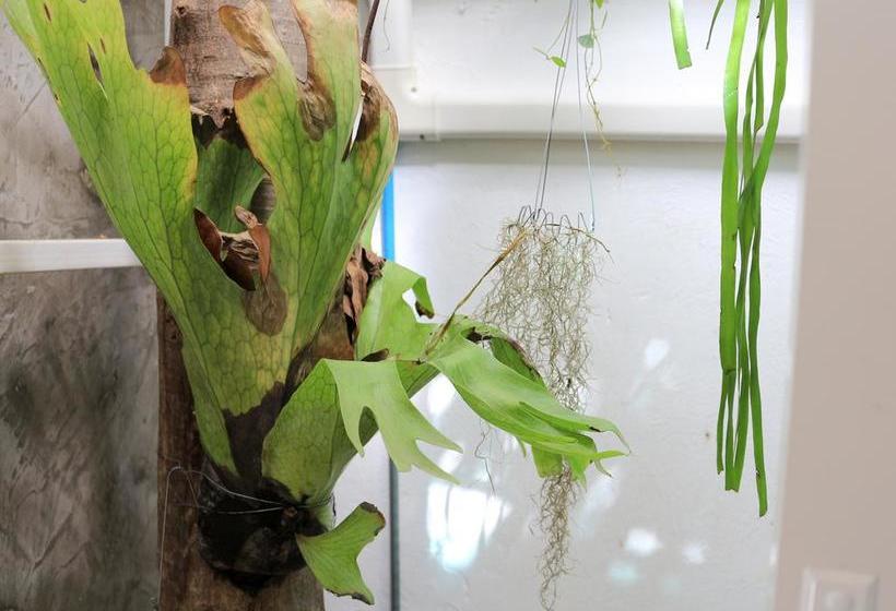 Pension Changmoi House Boutique 16