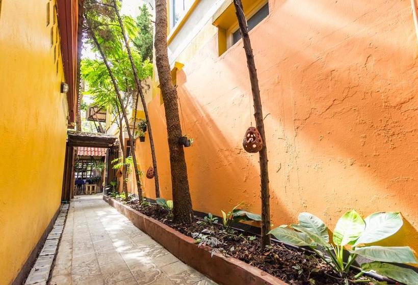 Pension Changmoi House Boutique 5