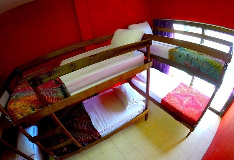 Hostel Echo Beach Backpackers 2