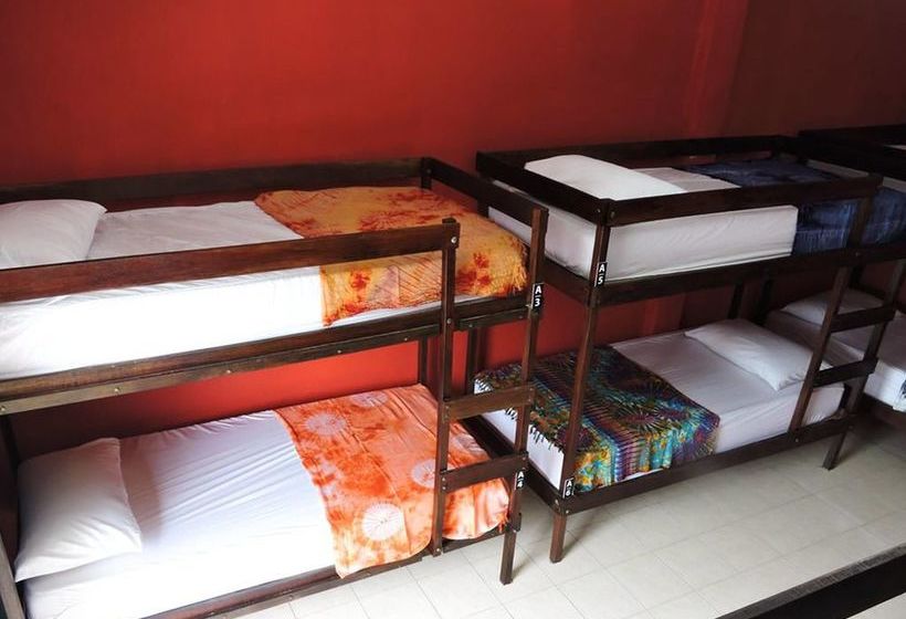 Hostel Echo Beach Backpackers 3