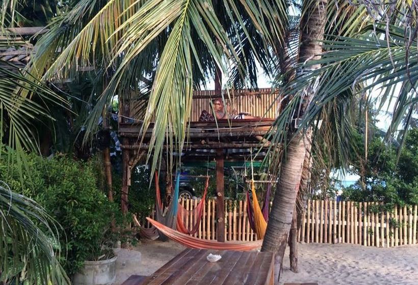 Hostel Echo Beach Backpackers 7