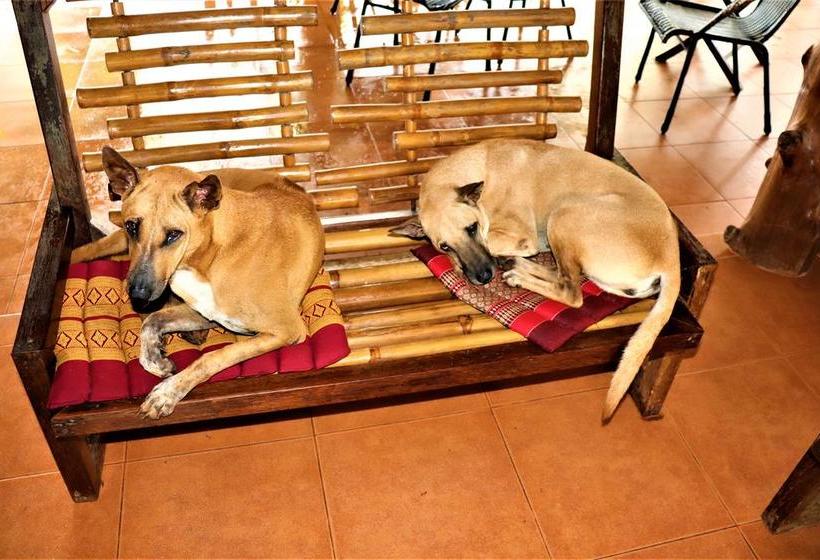 Bamboo Hideaway Resort 7