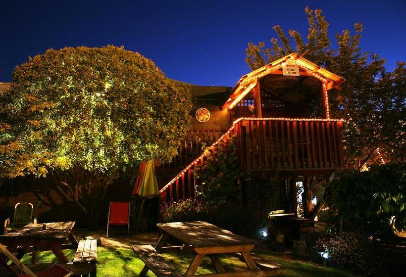 Hostel The Villa Backpackers Lodge 12