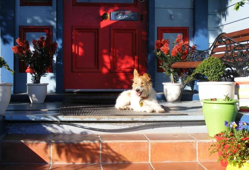 Hostel The Villa Backpackers Lodge 15