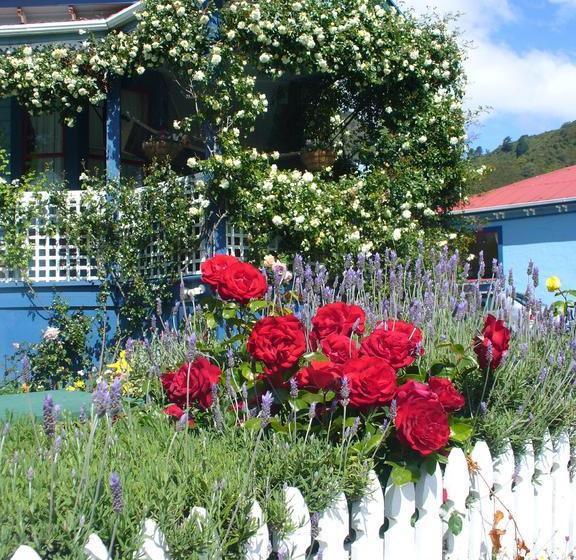 Hostel The Villa Backpackers Lodge 16