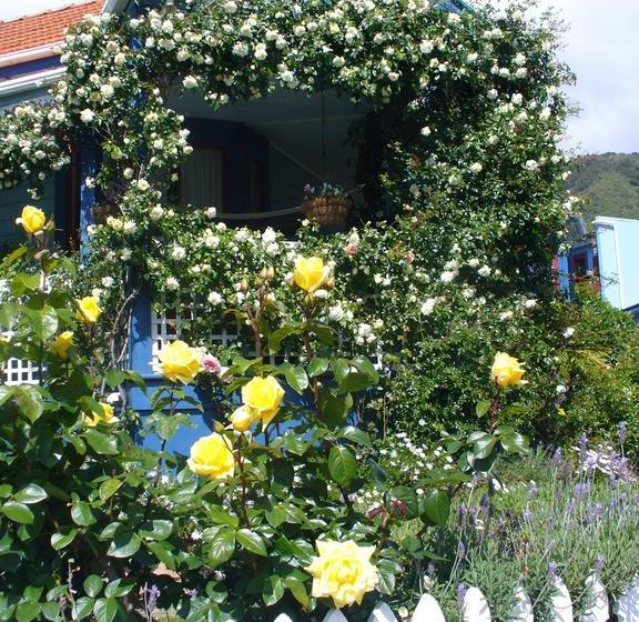 Hostel The Villa Backpackers Lodge 17