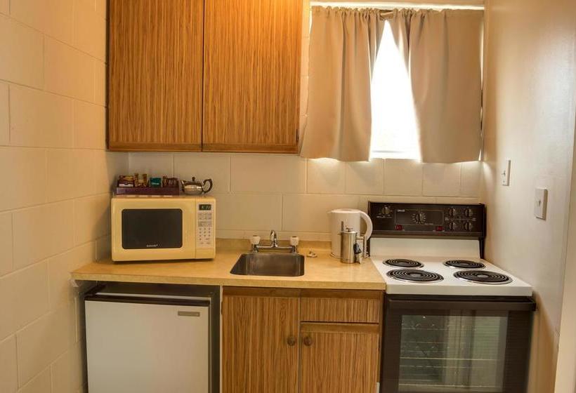 Motel Alpha Motor Inn 6