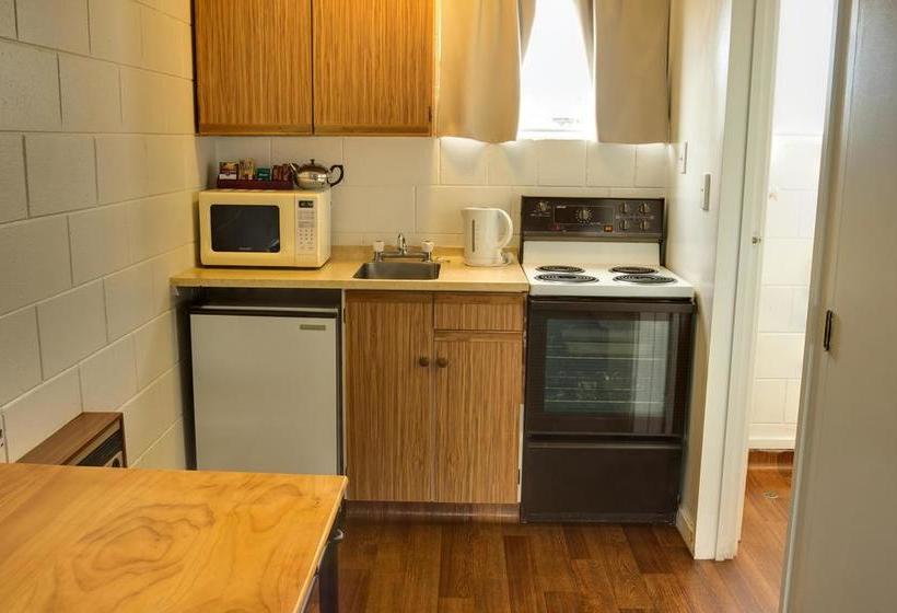 Motel Alpha Motor Inn 9