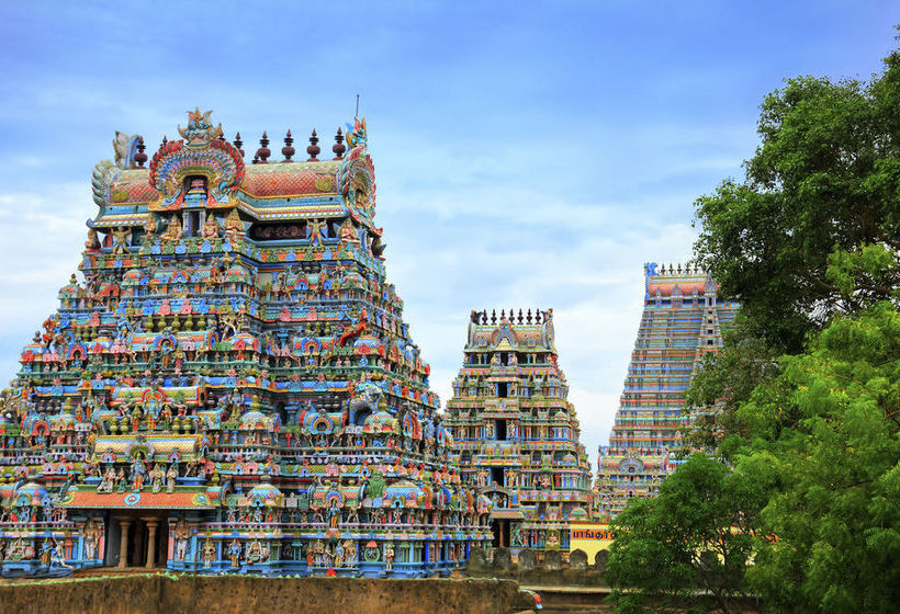 Hotel Ibis Chennai City Centre 19