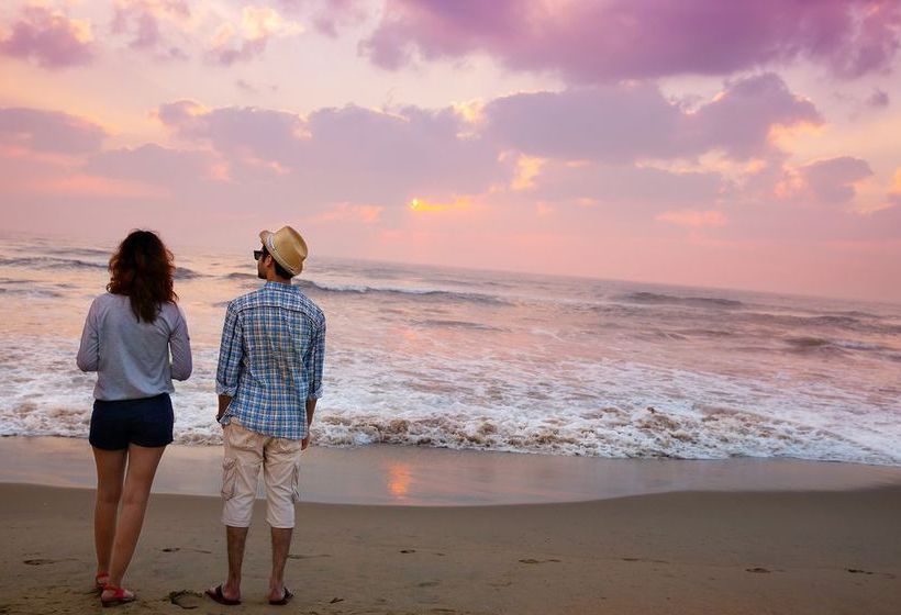 Hotel Ibis Chennai City Centre 3