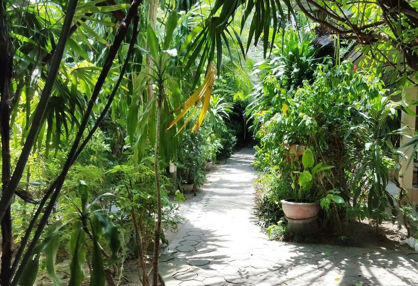 Hotel Green Guest House 5