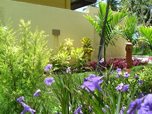 Samui Grove Villas 18