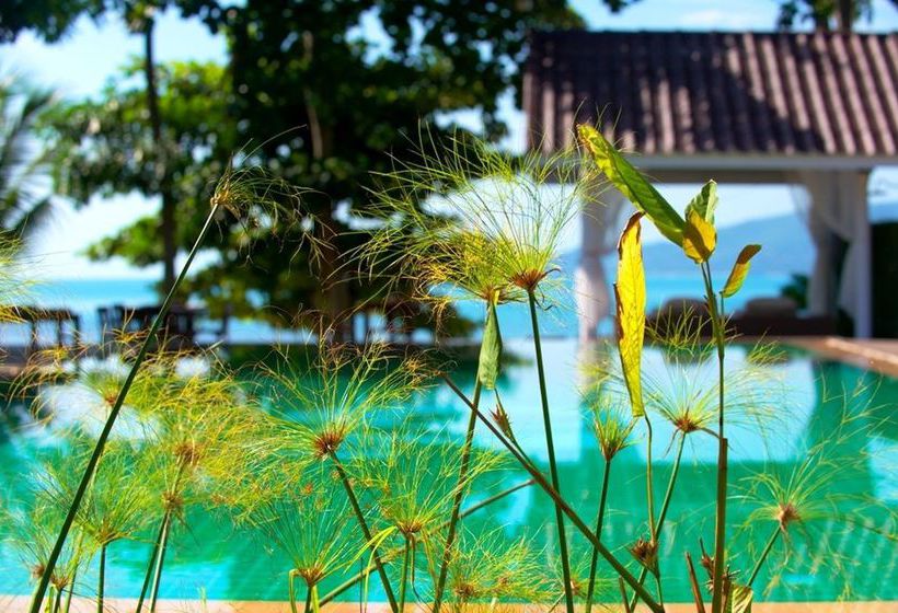 Resort @Samui Haus 13