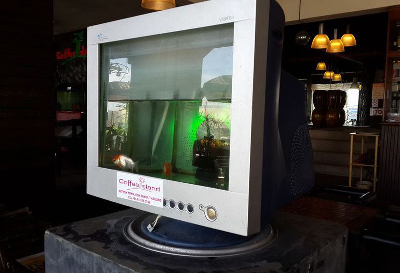 Hostel Coffee Island 1