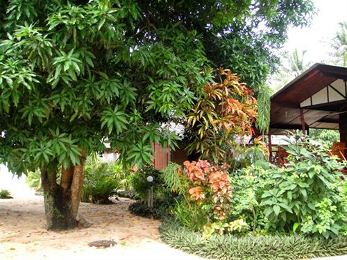 Hotel Bang Po Village 2