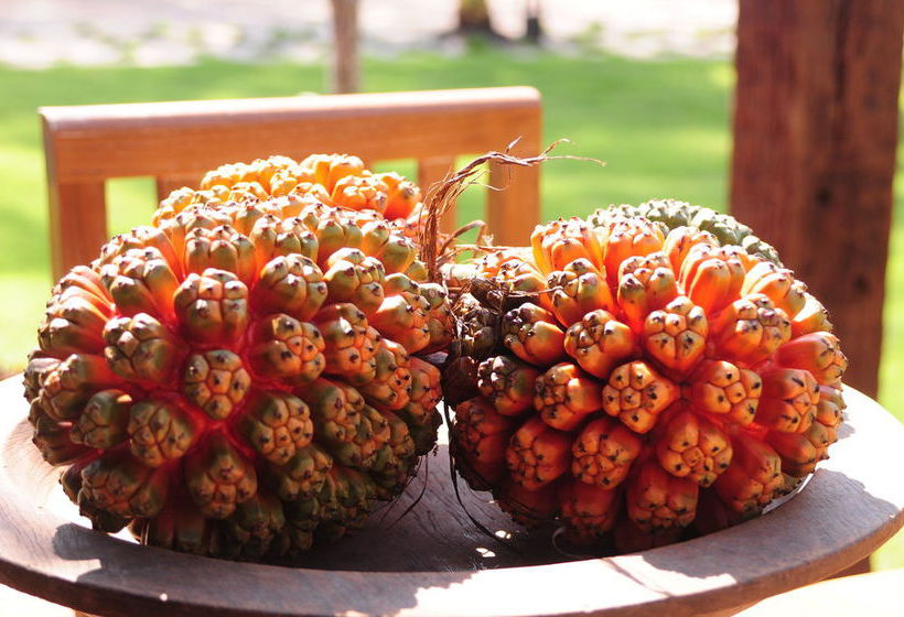 Hotel Medee Resort 17