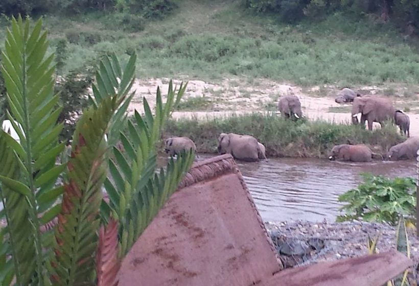 Hotel River House Lodge 11