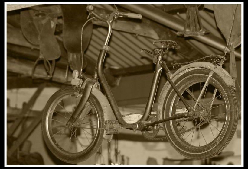 Hotel River House Lodge 2