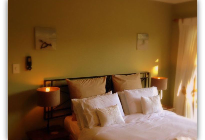 Bed and Breakfast De Wingerd Wijnland Lodge 1