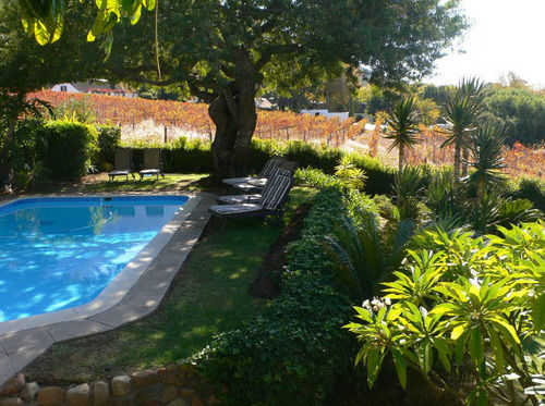 Bed and Breakfast De Wingerd Wijnland Lodge 8