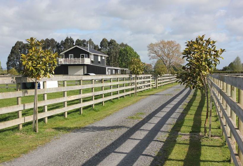 Prairies Grange Bed & Breakfast 4