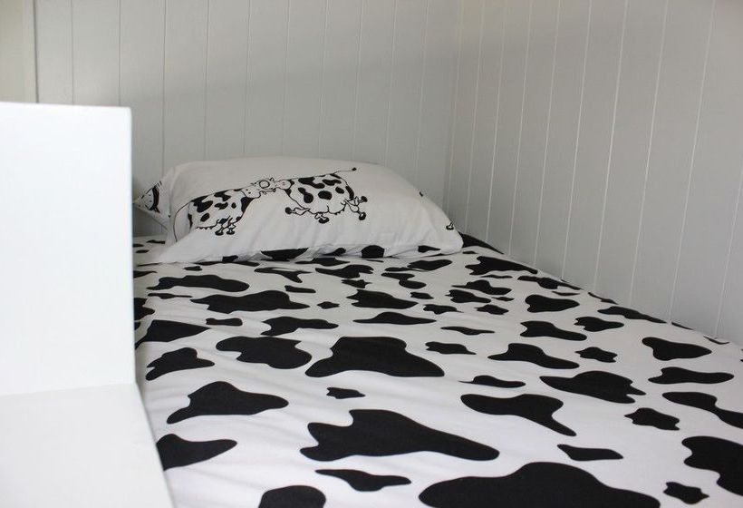 Prairies Grange Bed & Breakfast 9