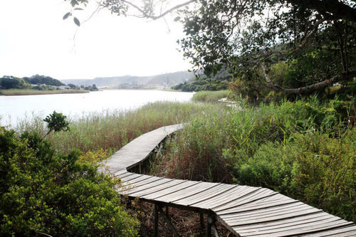 Pension Wilderness Manor 13