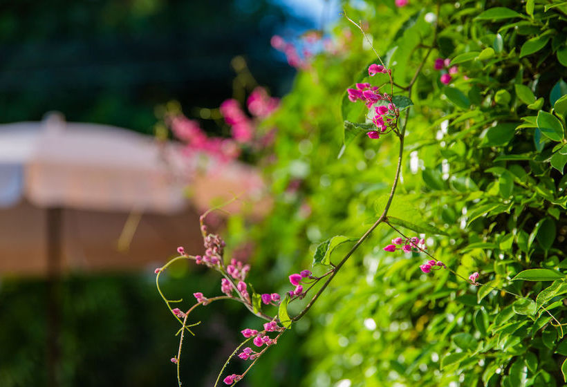 Hotel Lemon Tree Resort Naiharn Phuket 3