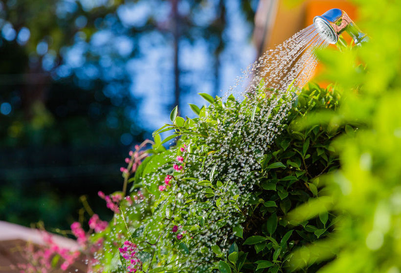 Hotel Lemon Tree Resort Naiharn Phuket 6