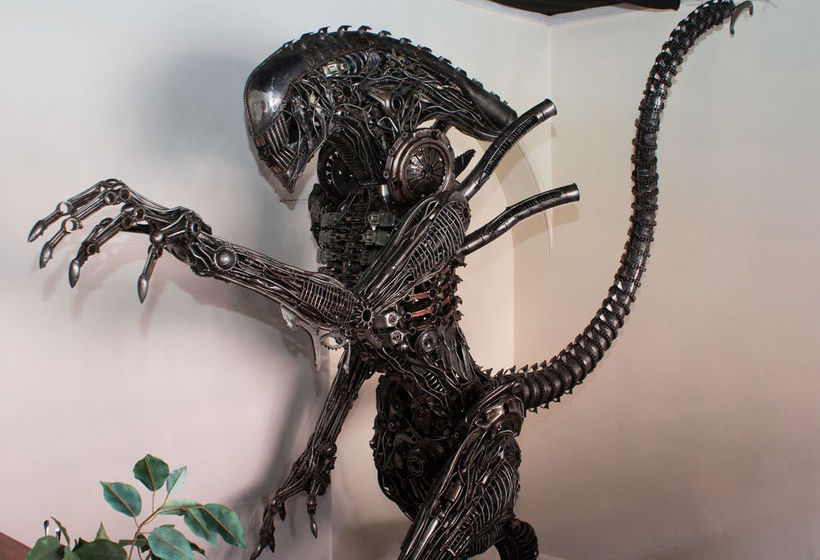 Hostel Geeky Gecko Backpackers 5