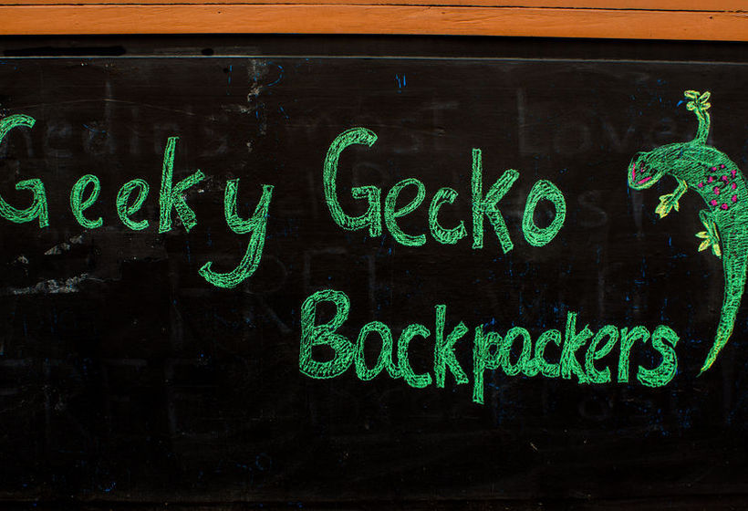 Hostel Geeky Gecko Backpackers 6
